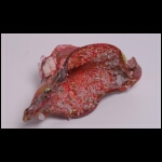 Crushed Fire Cave 6 x 11 x 7 in.jpg